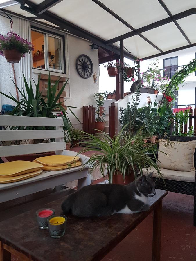 Apartmán Estia Vasilis Manoli Ayia Napa Exteriér fotografie