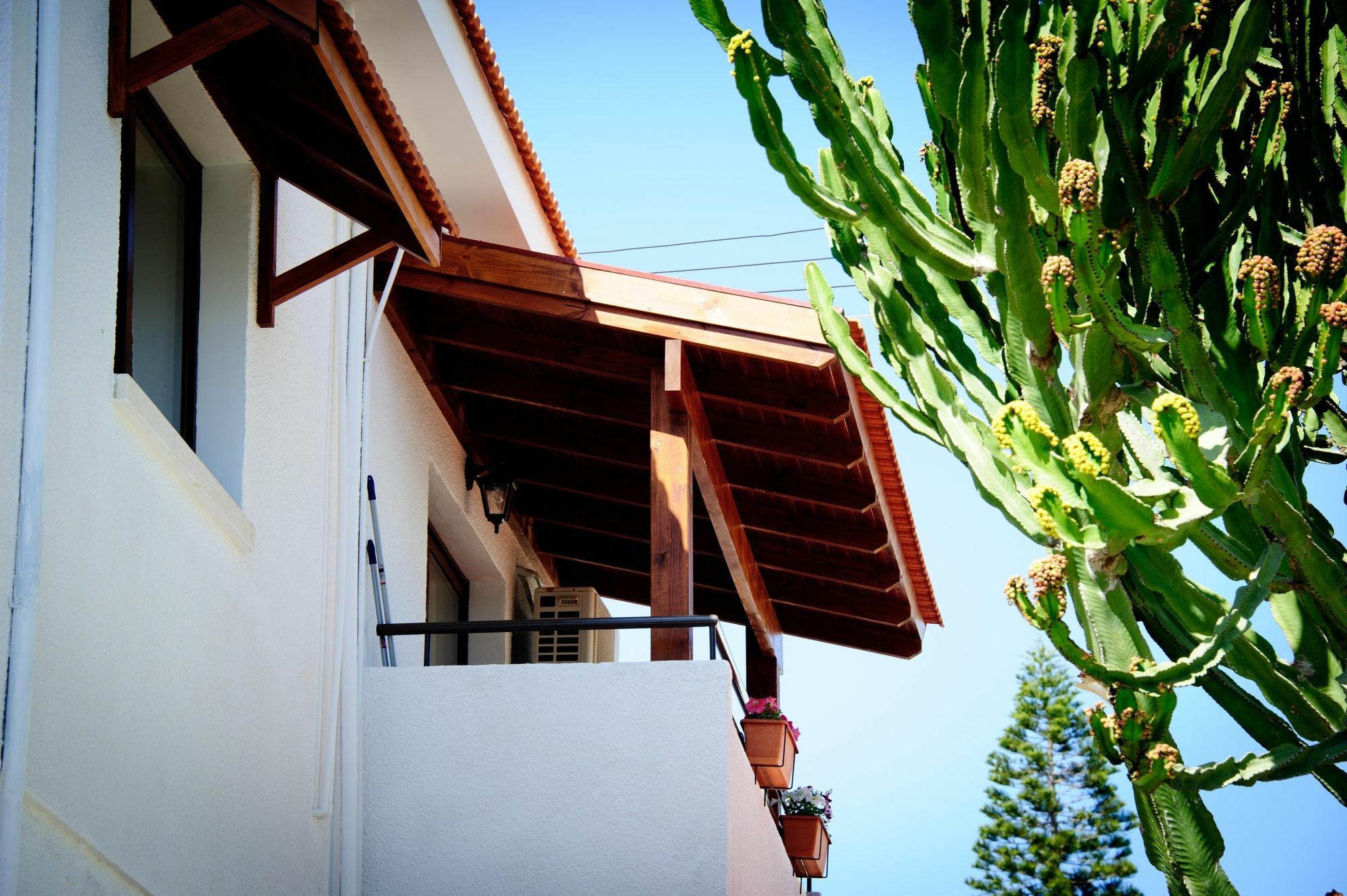 Apartmán Estia Vasilis Manoli Ayia Napa Exteriér fotografie